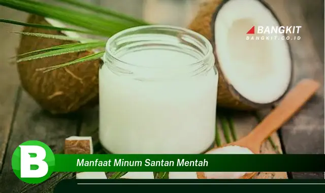 Intip Manfaat Minum Santan Mentah yang Bikin Kamu Penasaran