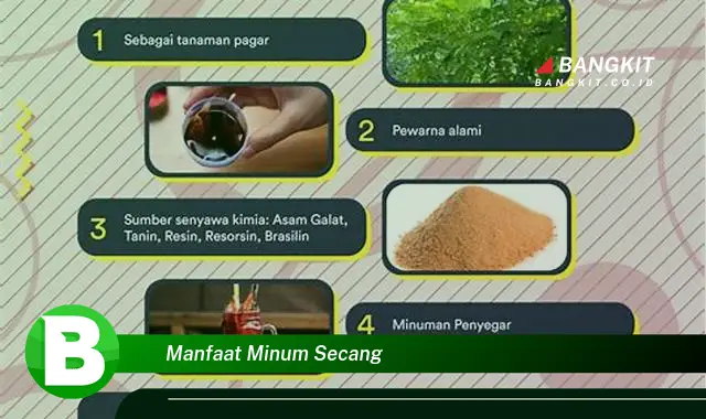 Temukan Manfaat Minum Secang yang Bikin Kamu Penasaran