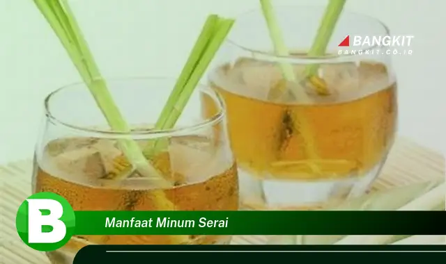 Temukan Rahasia Manfaat Minum Serai yang Bikin Kamu Penasaran