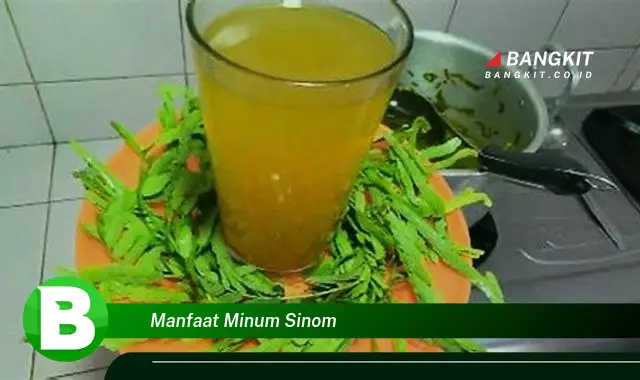 Intip Manfaat Minum Sinom yang Bikin Kamu Penasaran