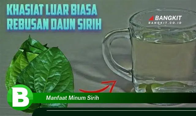 Temukan Manfaat Minum Sirih yang Bikin Kamu Penasaran