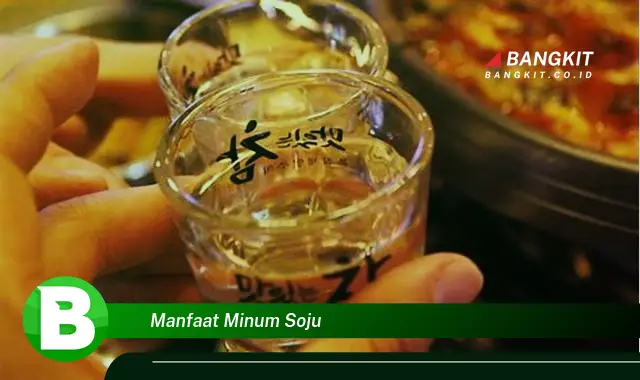 Temukan Manfaat Minum Soju yang Bikin Kamu Penasaran