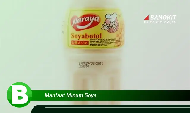 Intip Manfaat Minum Soya yang Bikin Kamu Penasaran