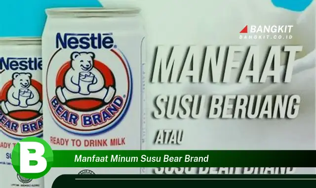 Temukan Manfaat Minum Susu Bear Brand yang Bikin Kamu Penasaran