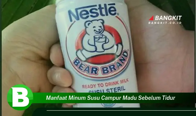 Ketahui Rahasia Minum Susu Madu Sebelum Tidur yang Bikin Kamu Penasaran