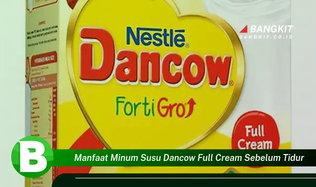 Intip Manfaat Minum Susu Dancow Full Cream Sebelum Tidur yang Bikin Kamu Penasaran