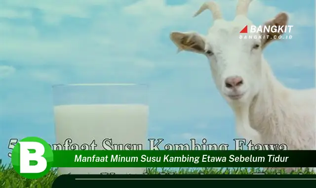 Ketahui Manfaat Minum Susu Kambing Etawa Sebelum Tidur yang Bikin Kamu Penasaran