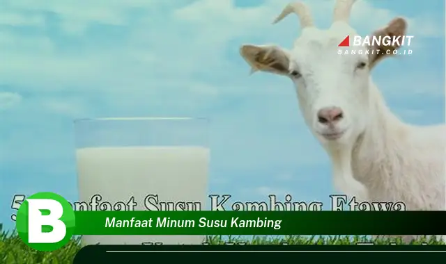 Temukan Manfaat Minum Susu Kambing yang Bikin Kamu Penasaran