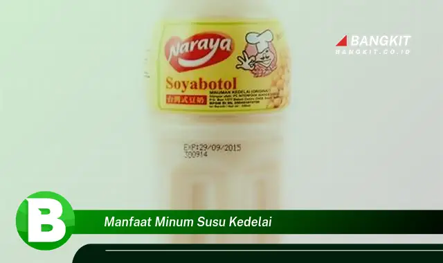 Temukan Manfaat Minum Susu Kedelai yang Bikin Kamu Penasaran