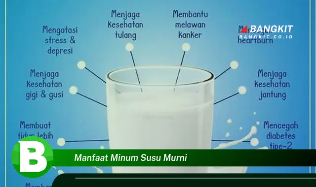 Temukan Manfaat Minum Susu Murni yang Bikin Kamu Penasaran