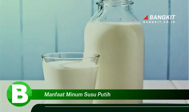 Ketahui Manfaat Minum Susu Putih yang Wajib Kamu Tau