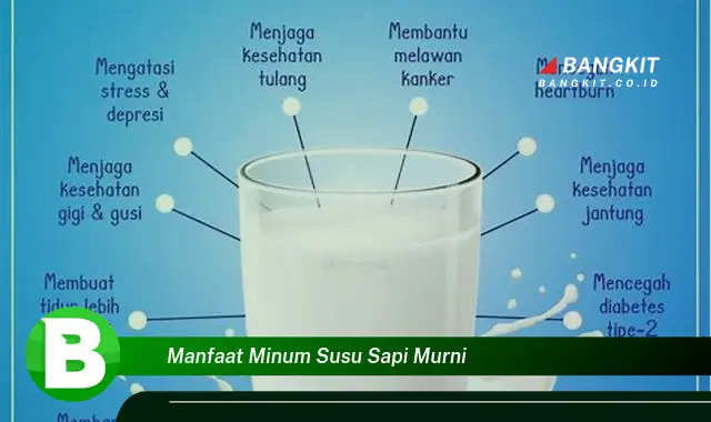 Ketahui Rahasia Minum Susu Sapi Murni yang Bikin Penasaran