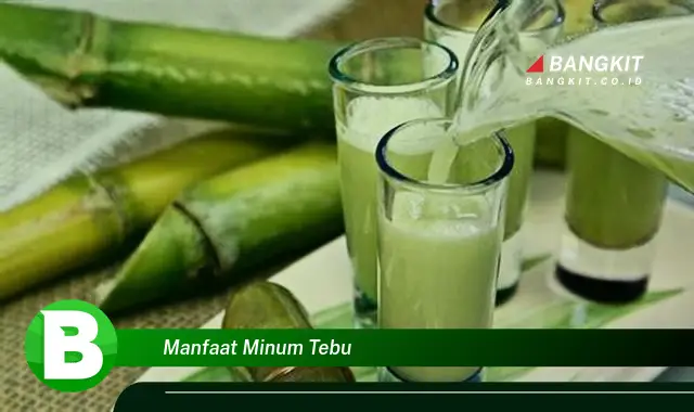 Temukan Manfaat Minum Tebu yang Bikin Kamu Penasaran