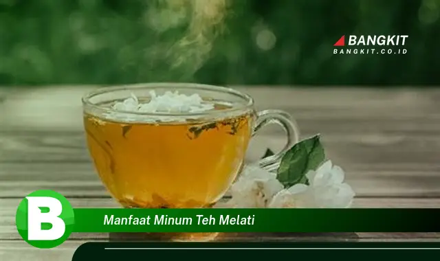 Intip Manfaat Minum Teh Melati yang Wajib Kamu Tau