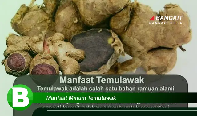 Ketahui Manfaat Minum Temulawak yang Bikin Kamu Penasaran!