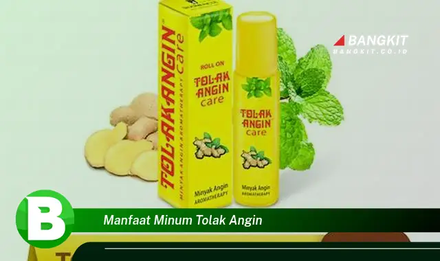 Temukan Manfaat Minum Tolak Angin yang Bikin Kamu Penasaran!