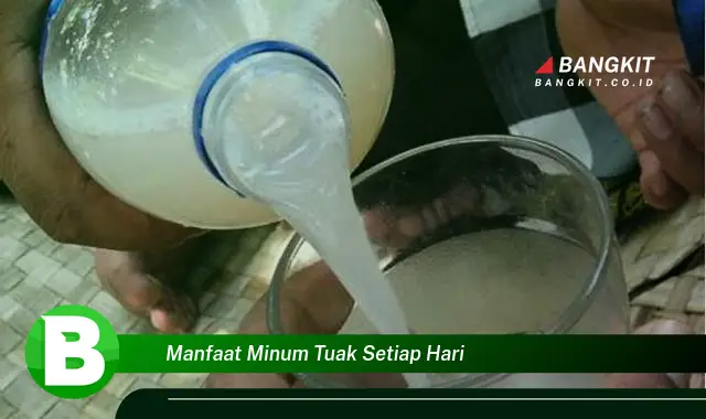 Ketahui Manfaat Minum Tuak Setiap Hari yang Bikin Kamu Penasaran