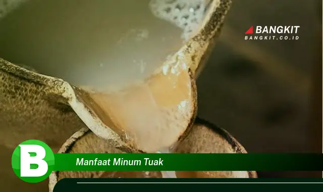 Temukan Manfaat Minum Tuak yang Bikin Kamu Penasaran