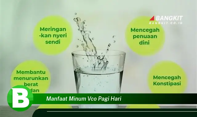 Temukan Manfaat Minum VCO Pagi Hari yang Wajib Kamu Intip