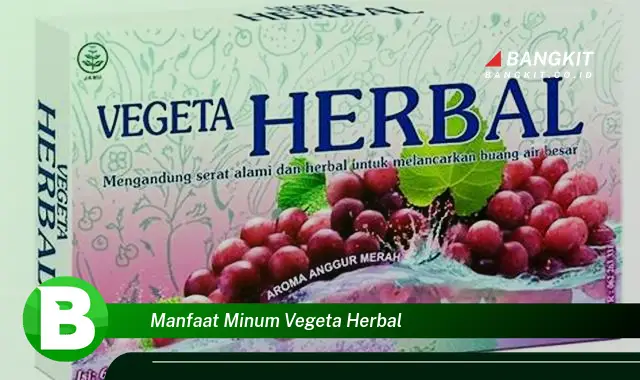 Ketahui Manfaat Minum Vegeta Herbal yang Wajib Kamu Tau