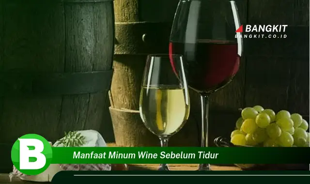 Temukan Manfaat Minum Wine Sebelum Tidur yang Bikin Kamu Penasaran