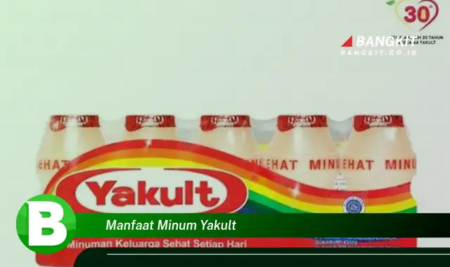 Temukan Manfaat Minum Yakult yang Wajib Kamu Intip