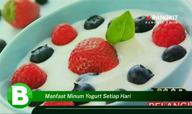 Intip Manfaat Minum Yogurt Setiap Hari yang Wajib Kamu Tahu