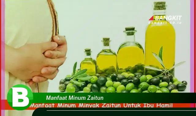 Temukan Manfaat Minum Zaitun yang Bikin Kamu Penasaran