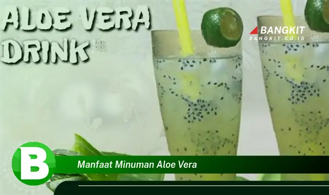 Temukan Manfaat Minuman Aloe Vera yang Wajib Kamu Tau