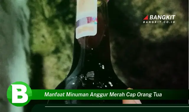 Temukan Manfaat Minuman Anggur Merah Cap Orang Tua yang Bikin Kamu Penasaran