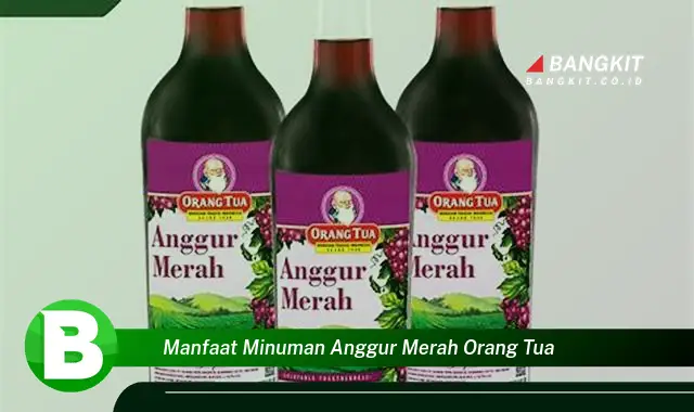 Temukan Manfaat Minuman Anggur Merah Orang Tua yang Bikin Kamu Penasaran