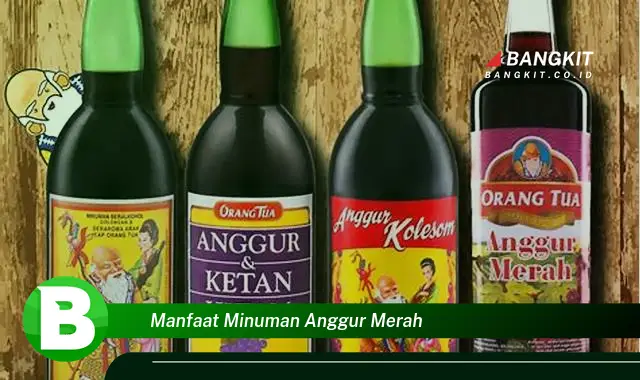 Ketahui Manfaat Minuman Anggur Merah yang Bikin Kamu Penasaran