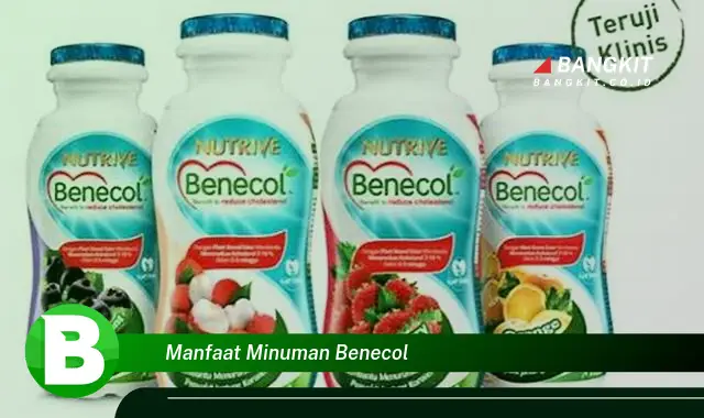 Intip Manfaat Minuman Benecol yang Wajib Kamu Tahu