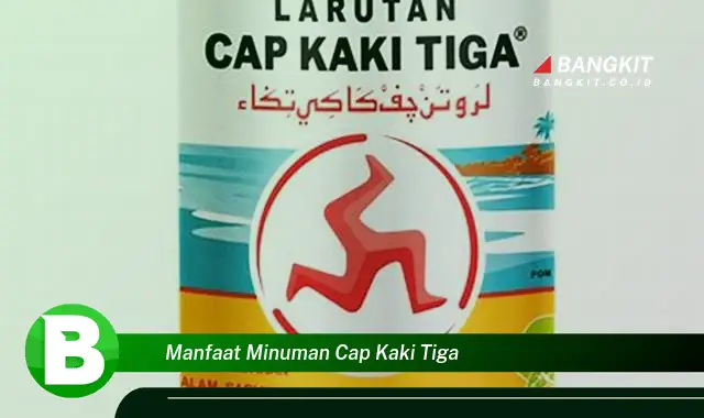 Intip Manfaat Minuman Cap Kaki Tiga yang Bikin Kamu Penasaran