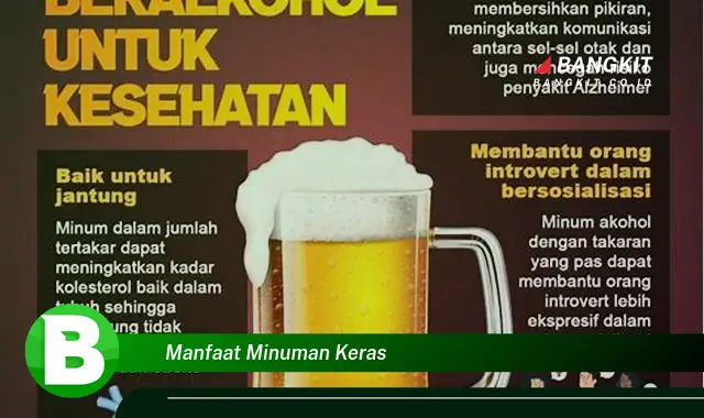 Ketahui Manfaat Minuman Keras yang Bikin Kamu Penasaran