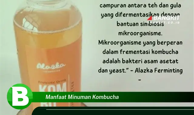 Intip Manfaat Minuman Kombucha yang Wajib Kamu Tau