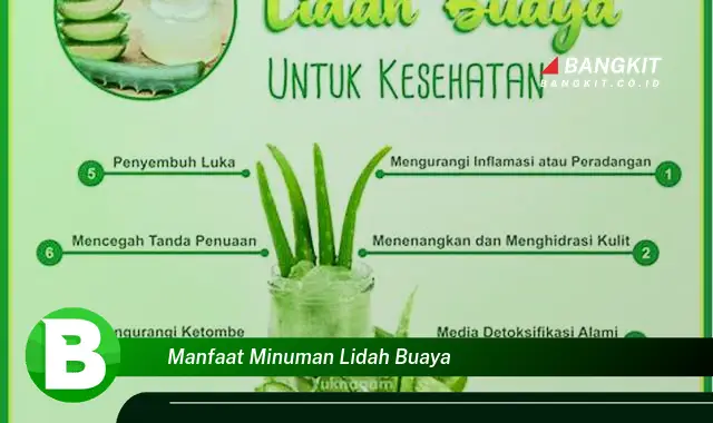 Intip Manfaat Minuman Lidah Buaya yang Wajib Kamu Tau