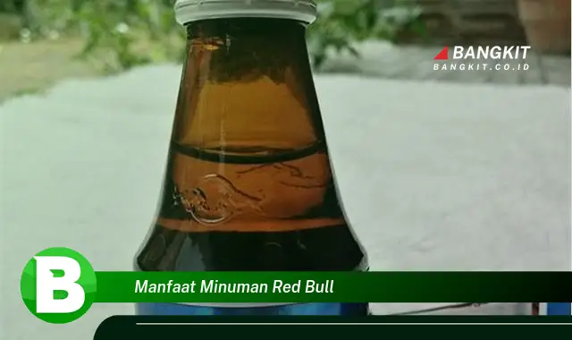 Ketahui Manfaat Minuman Red Bull yang Bikin Kamu Penasaran