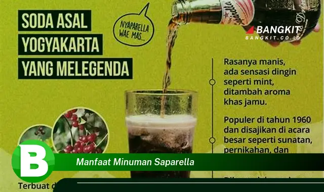 Ketahui Rahasia Minuman Saparella yang Wajib Kamu Intip