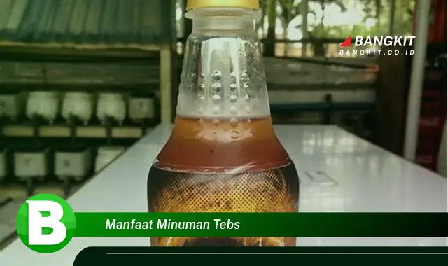 Ketahui Manfaat Minuman TEBS yang Bikin Kamu Penasaran