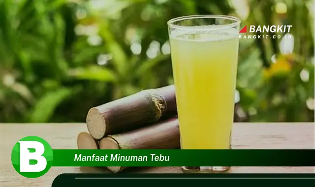 Intip Manfaat Minuman Tebu yang Bikin Kamu Penasaran