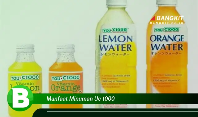 Temukan Manfaat Minuman UC 1000 yang Wajib Kamu Tahu