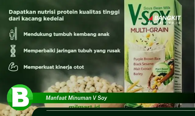 Temukan Manfaat Minuman V Soy yang Wajib Kamu Intip