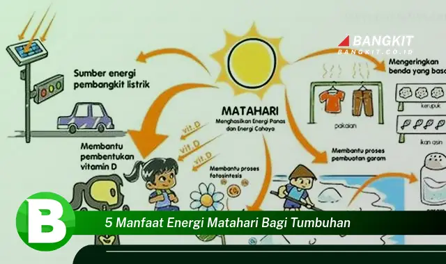 Intip5 ManfaatEnergi Matahariyang WajibKamuIntipuntuk Tumbuhan