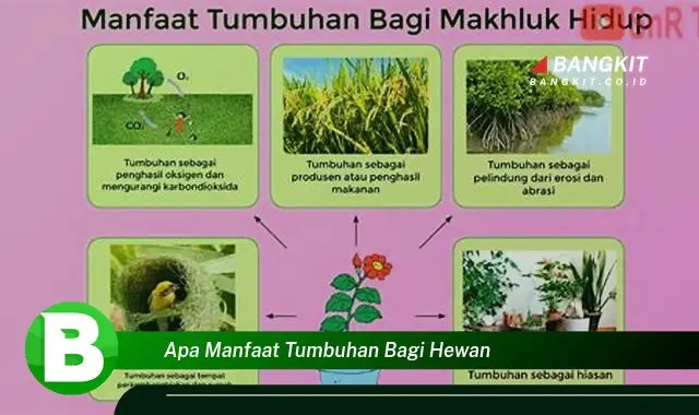 Ketahui Manfaat Tumbuhan bagi Hewan yang Bikin Kamu Penasaran