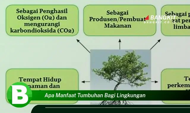 Temukan Manfaat Tumbuhan Bagi Lingkungan yang Bikin Kamu Penasaran