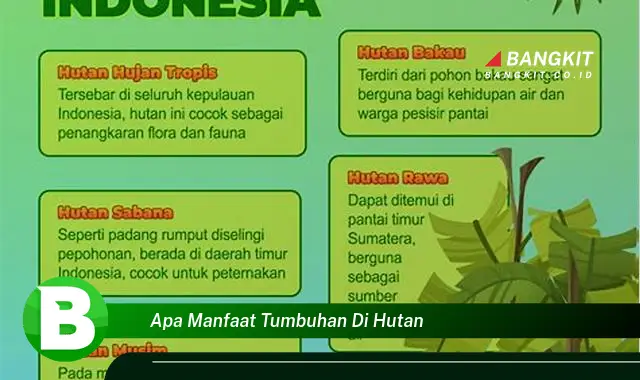 Temukan Manfaat Tumbuhan di Hutan yang Wajib Kamu Intip