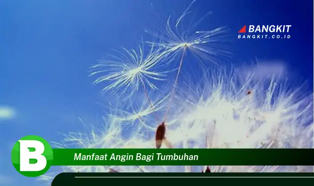 Temukan Manfaat Angin Bagi Tumbuhan yang Bikin Kamu Penasaran