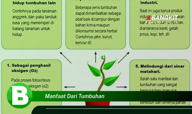 Intip Manfaat Tumbuhan yang Bikin Kamu Penasaran!