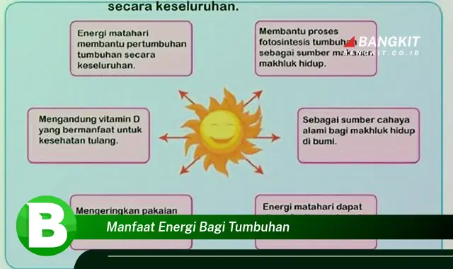 Intip Manfaat Energi Bagi Tumbuhan yang Bikin Kamu Penasaran